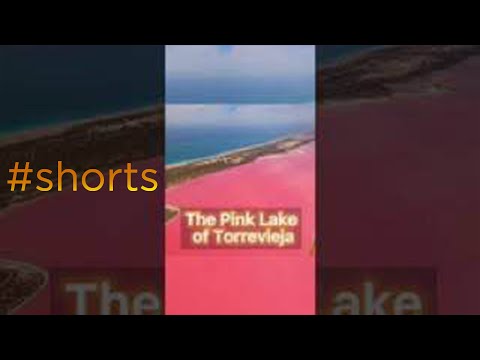🏞Pink salt lake in Torrevieja (Laguna Salada)  #shorts